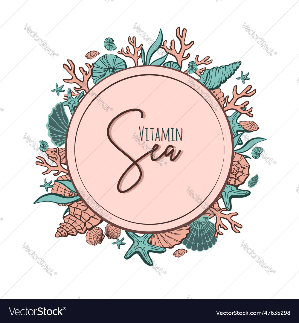 Frame with shells isolated on circle a wreath vector image Frame with shells isolated on circle a wreath