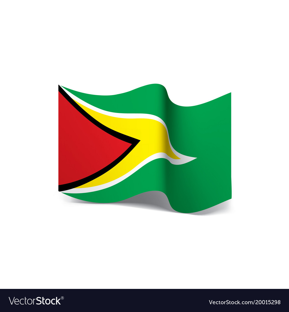 Guyana flag Royalty Free Vector Image - VectorStock