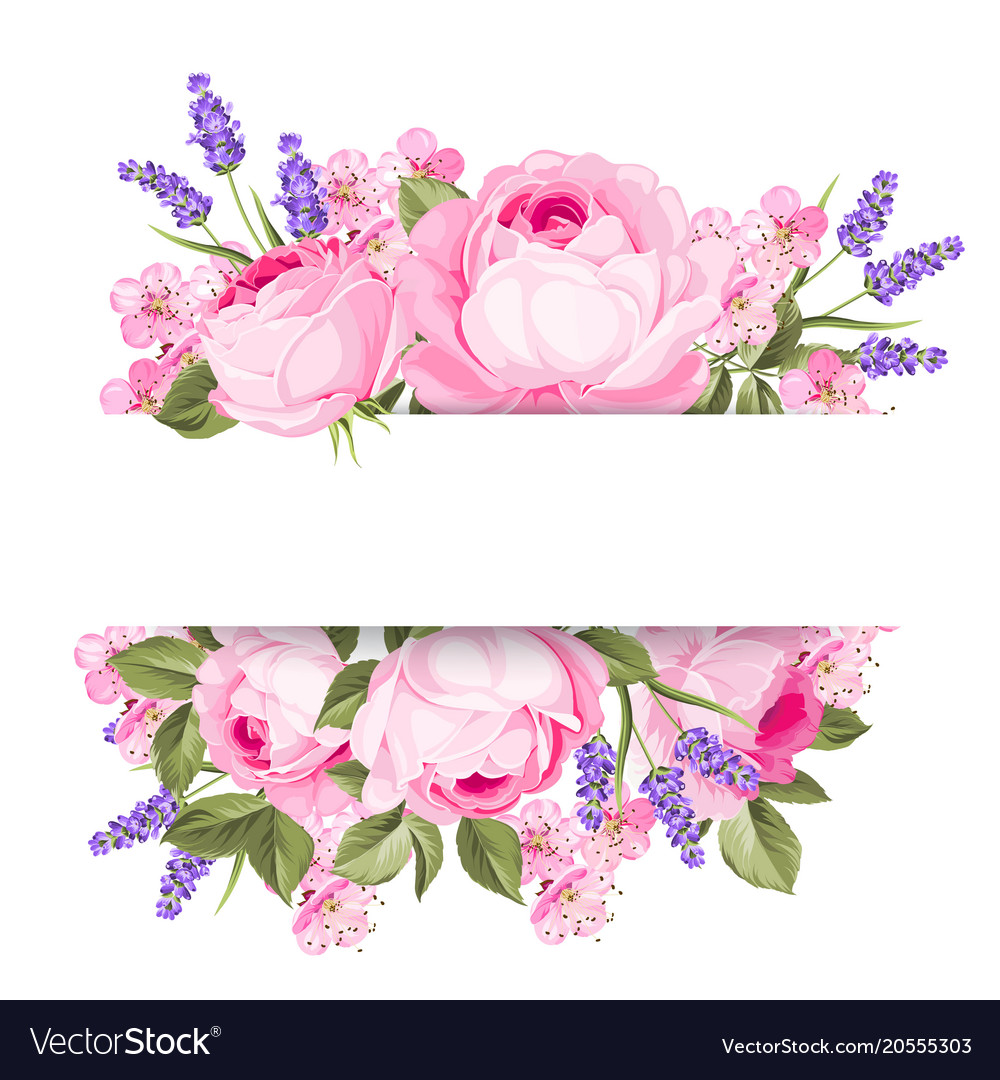 Download 75+ Spring Flowers Free Vector - flowers pictures