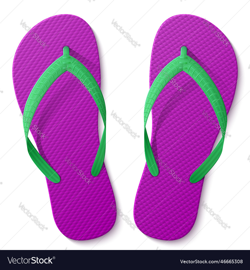 Flip flops isolated on white background Royalty Free Vector