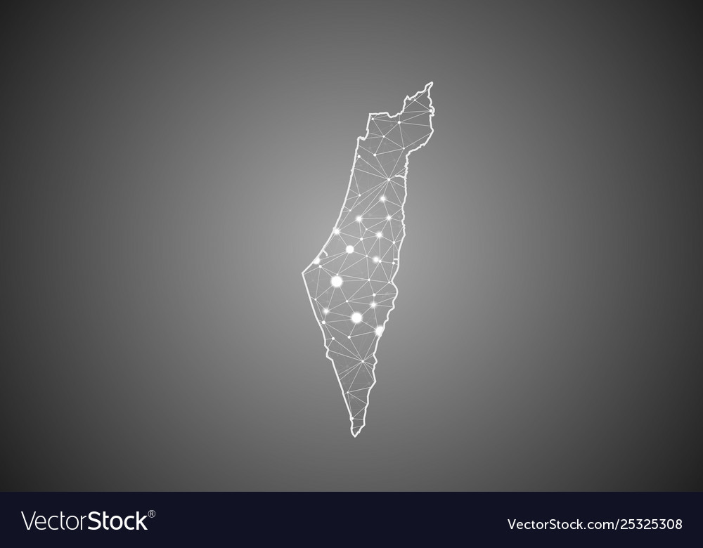 Wireframe mesh polygonal palestine map Royalty Free Vector