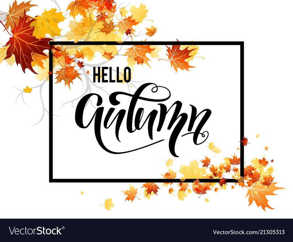 Autumn Leaves Branch Royalty Free Vector Image Autumn Leaves Branch Royalty Free Vector Image