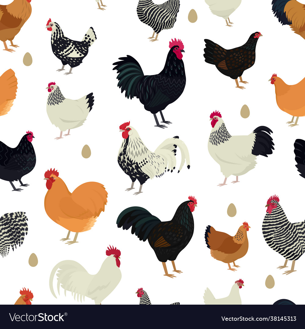 Chicken breeds seamless pattern flat Royalty Free Vector