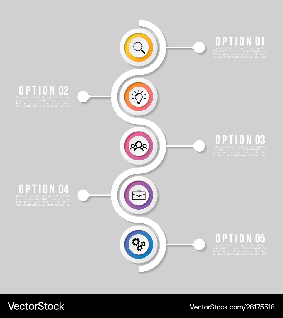 Timeline infographic design template with 8 Vector Image