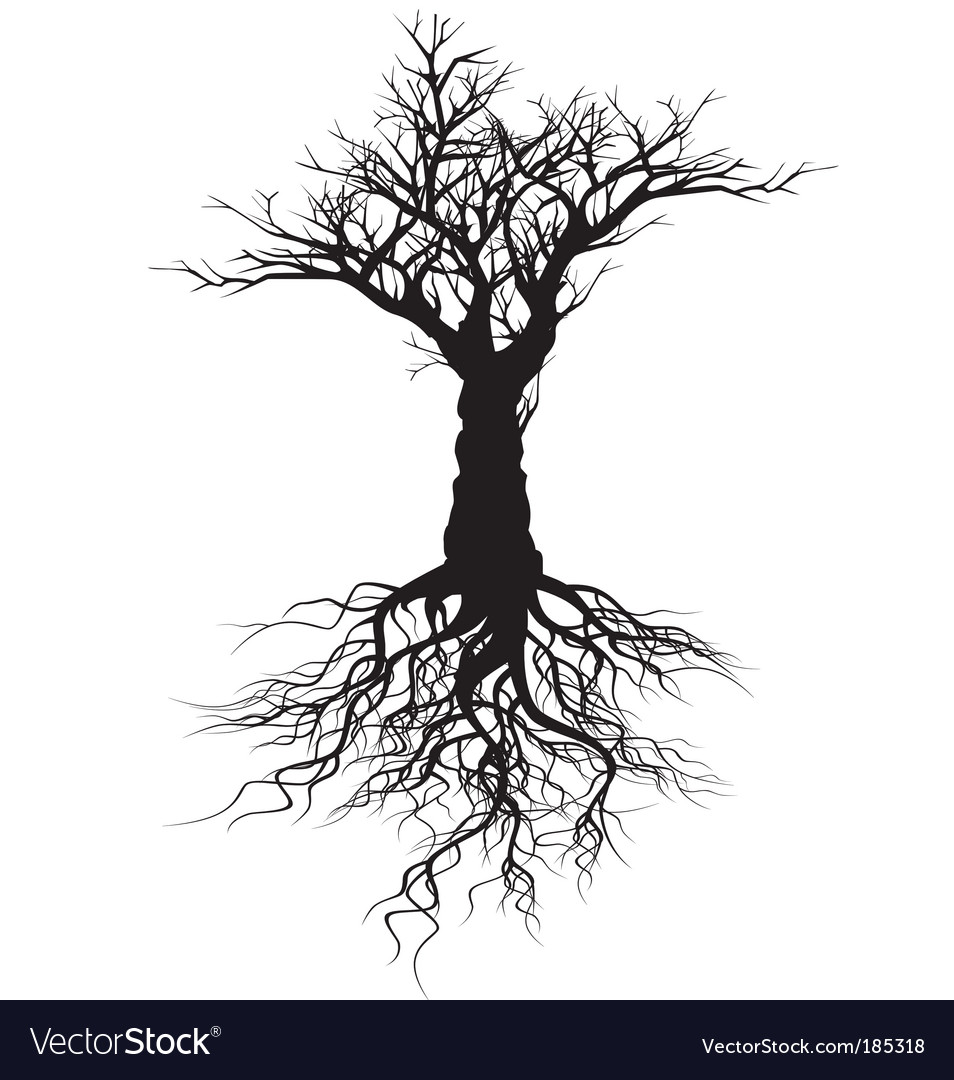 Tree silhouette Royalty Free Vector Image - VectorStock