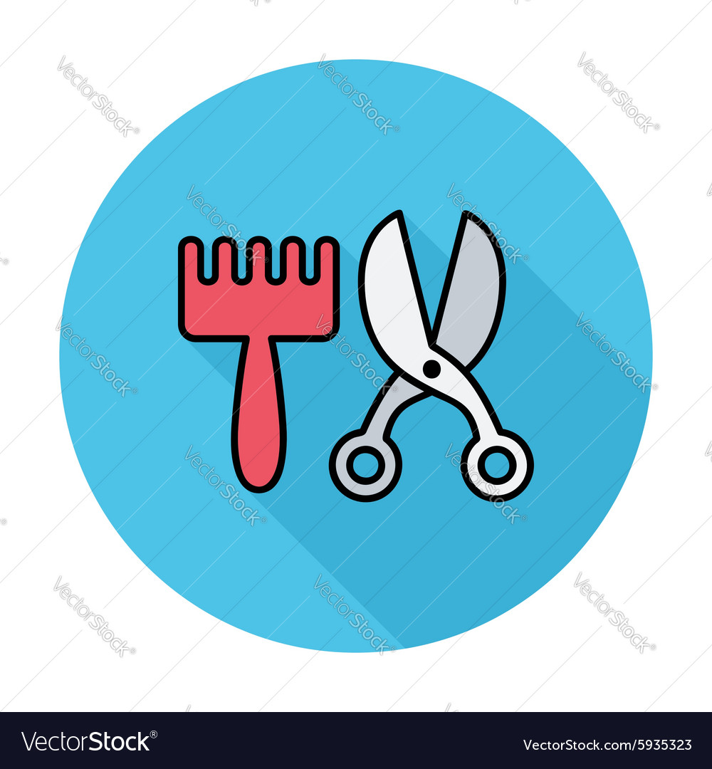 Scissors and comb