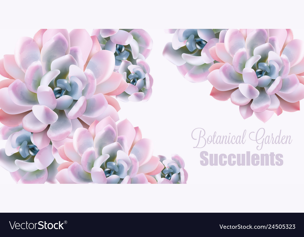 Watercolor succulent plant card votanical