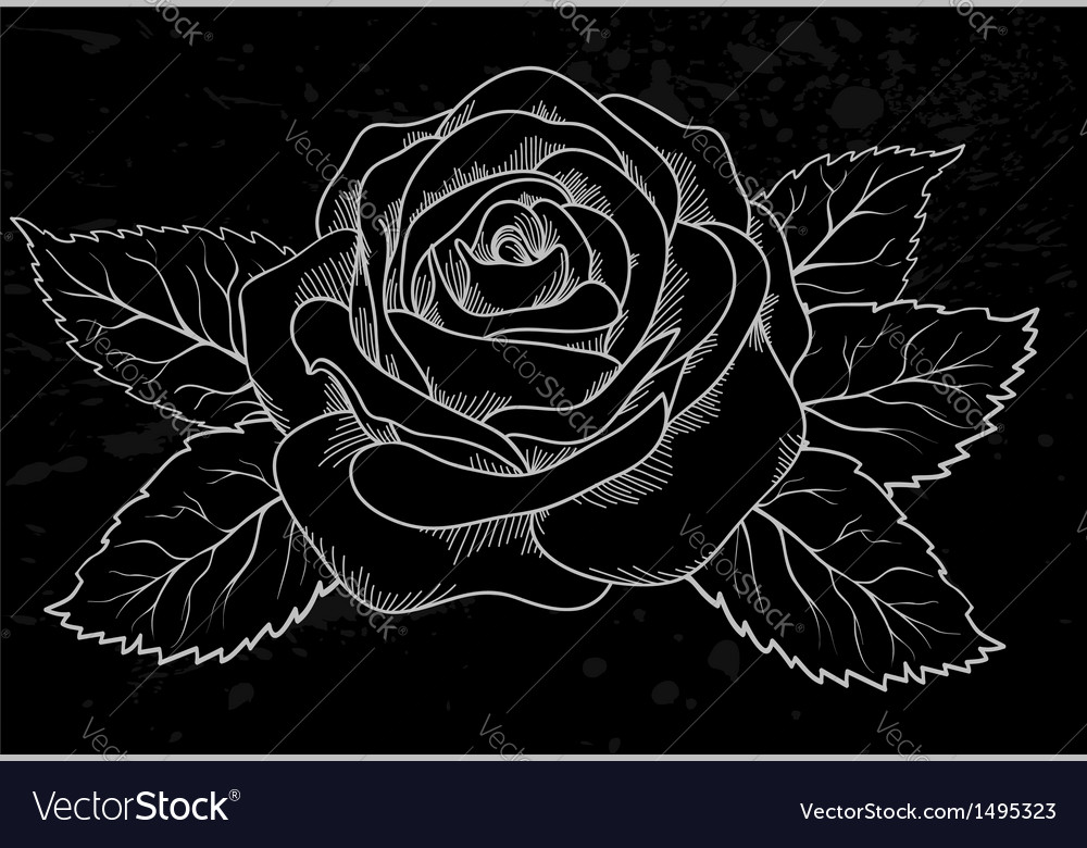 White Rose Outline Gray Spots Black Background Vector Image