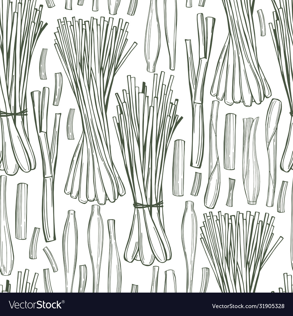 Hand drawn lemongrass seamless pattern