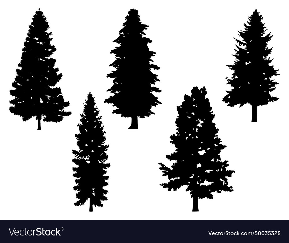 Pine trees silhouette art Royalty Free Vector Image