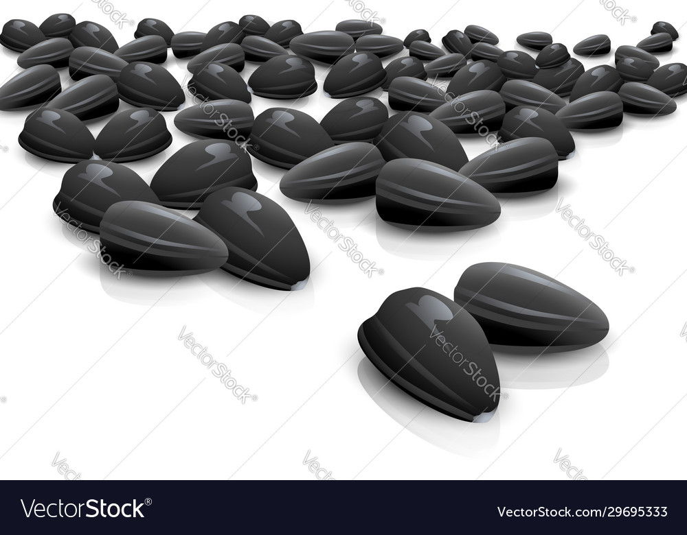 Bird just seeds Royalty Free Vector Image VectorStock