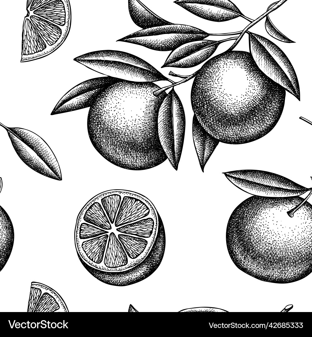 Citrus seamless pattern background design Vector Image