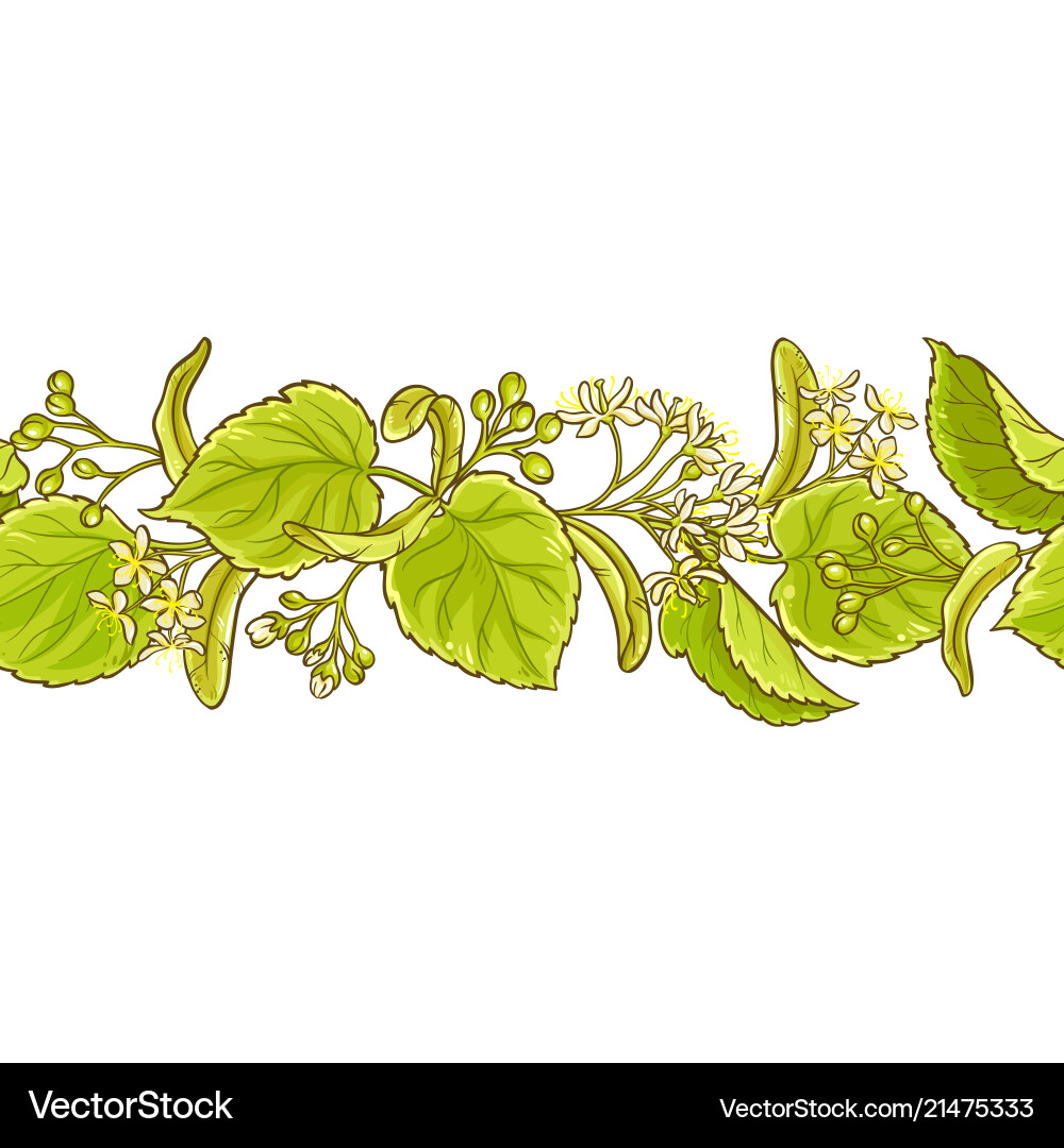 Linden pattern Royalty Free Vector Image - VectorStock