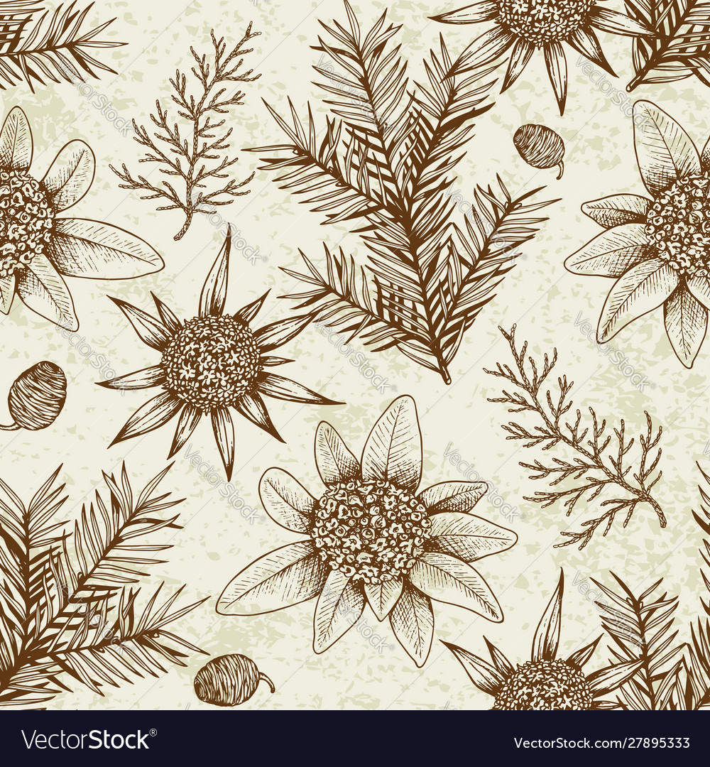 Vintage nahtlose Muster mit immergrünen Pflanzen vector image Vintage nahtlose Muster mit immergrünen Pflanzen