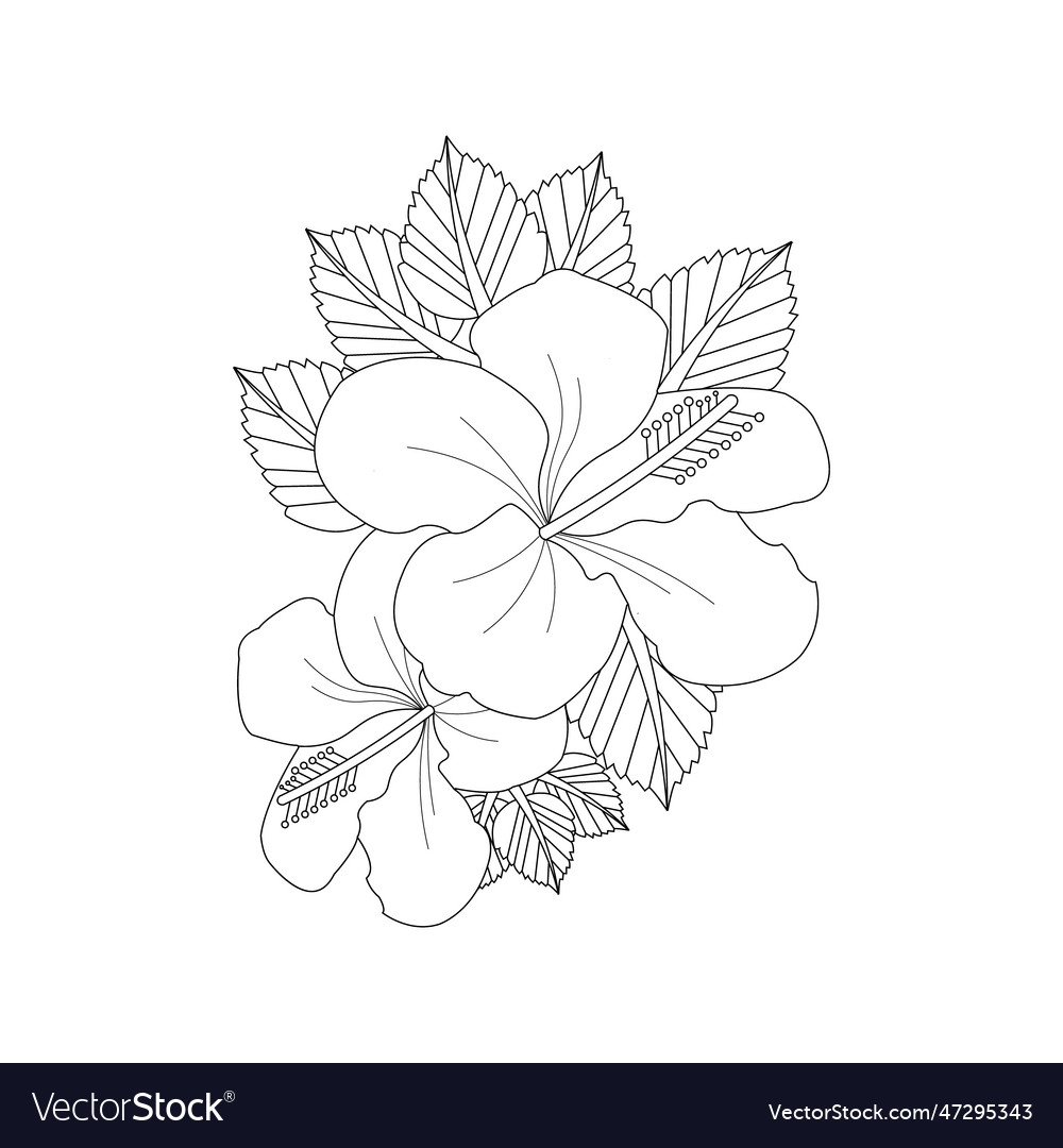 Flower Coloring Page Hand Drawn Royalty Free Vector Image