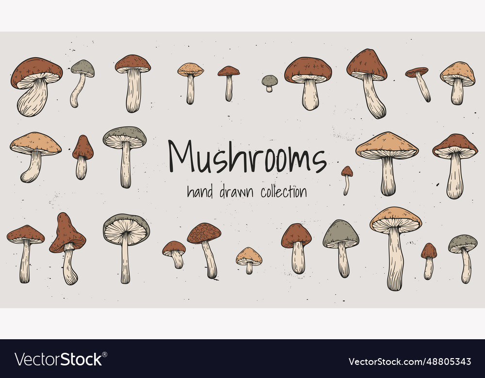 Set of hand drawn various mushrooms Royalty Free Vector