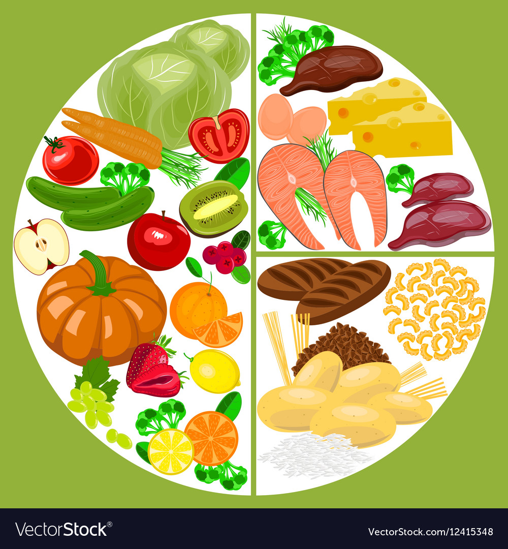 Healthy eating food plate nutrition balance Vector Image