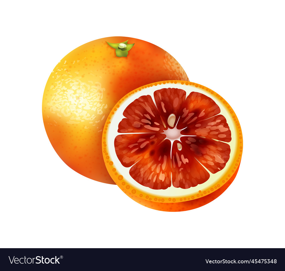 Realistic red orange Royalty Free Vector Image