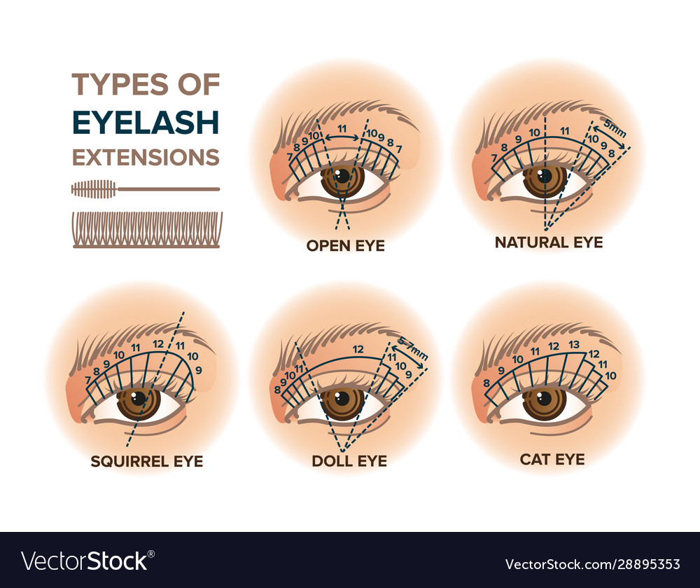 Types of eyelash extensions store