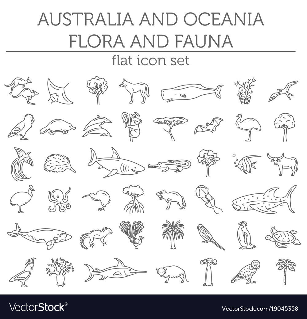 Flat australia and oceania flora fauna