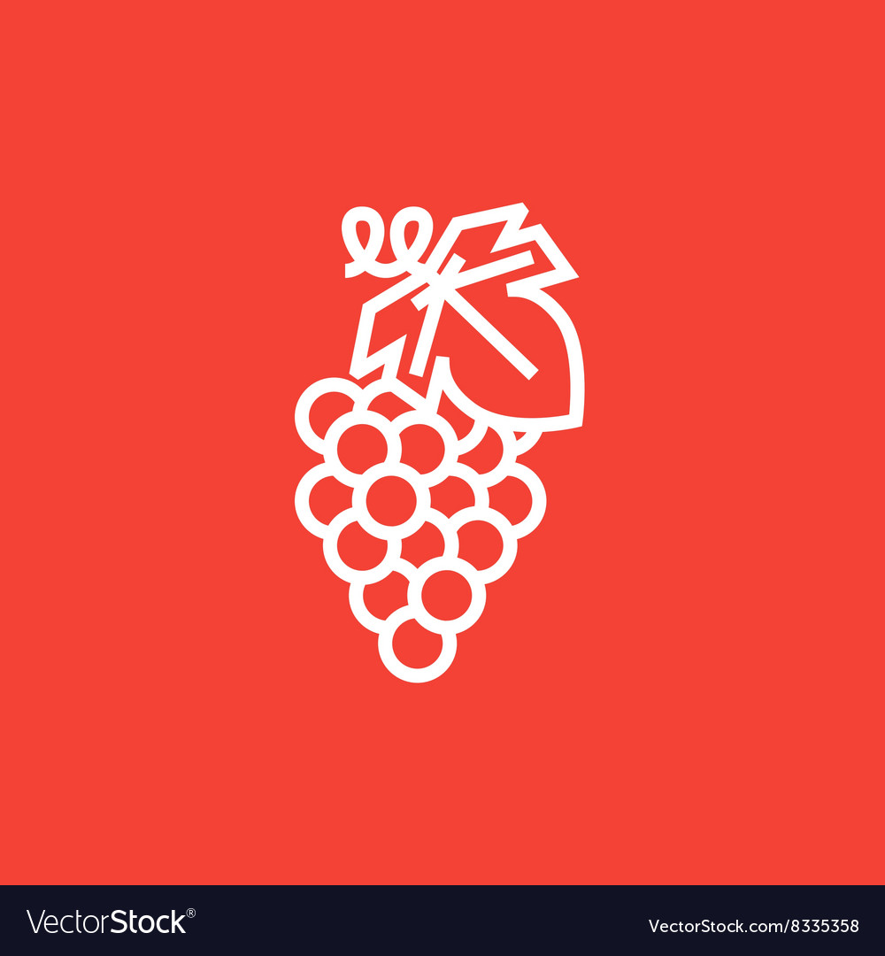 Grape line icon