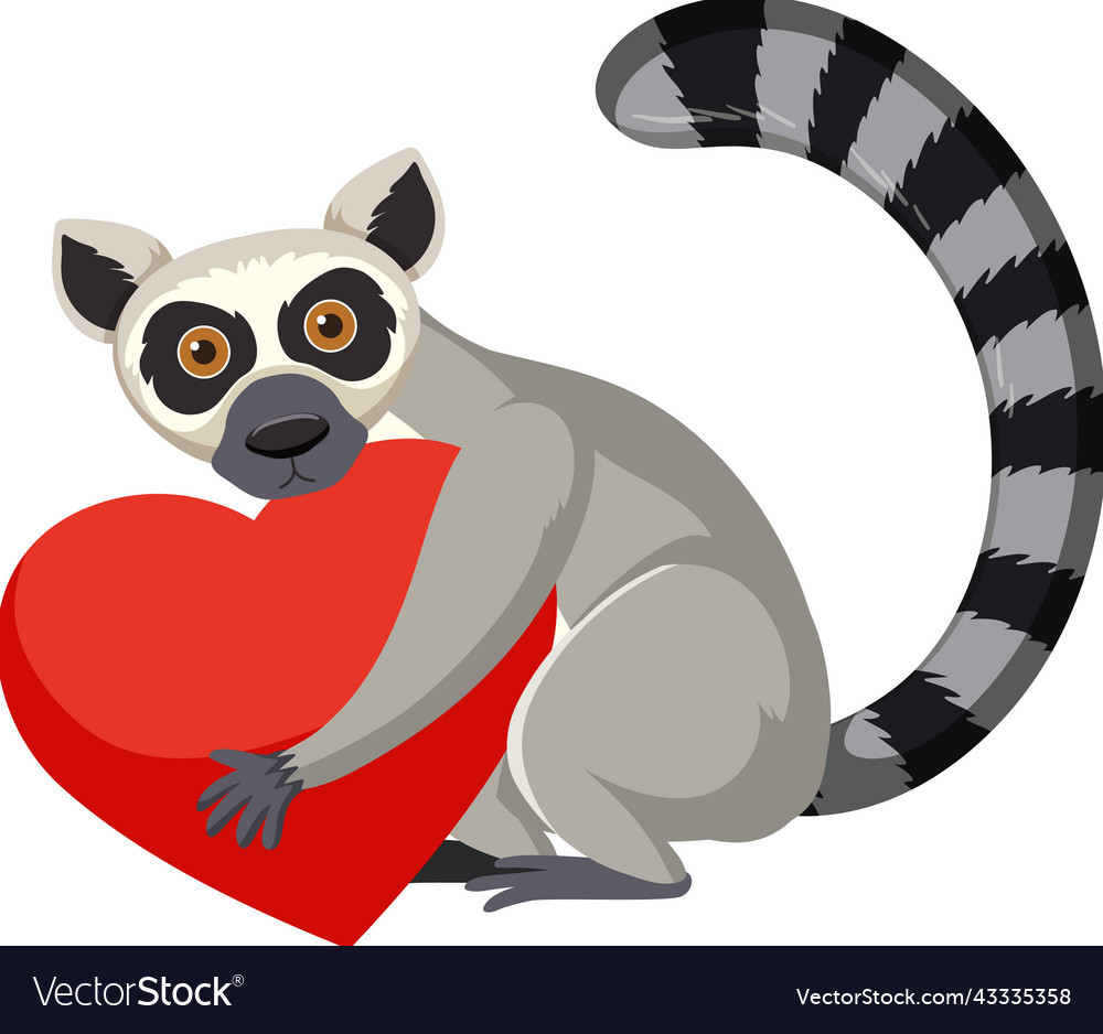 Lemur hugging heart isolated