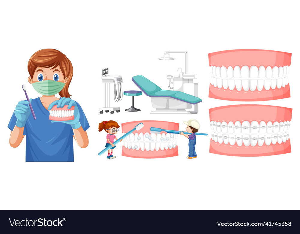 Set of all types of teeth on white background Vector Image