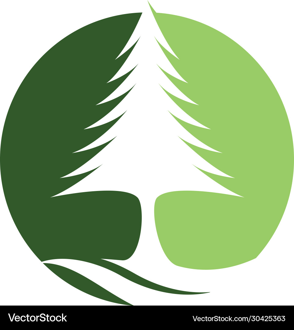 Pine tree icon Royalty Free Vector Image - VectorStock