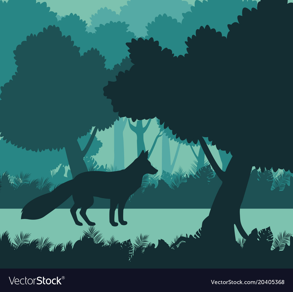 Fox in the jungle