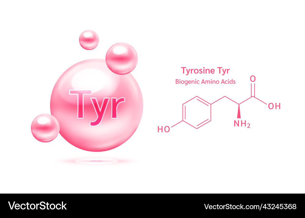Important amino acid tyrosine Royalty Free Vector Image