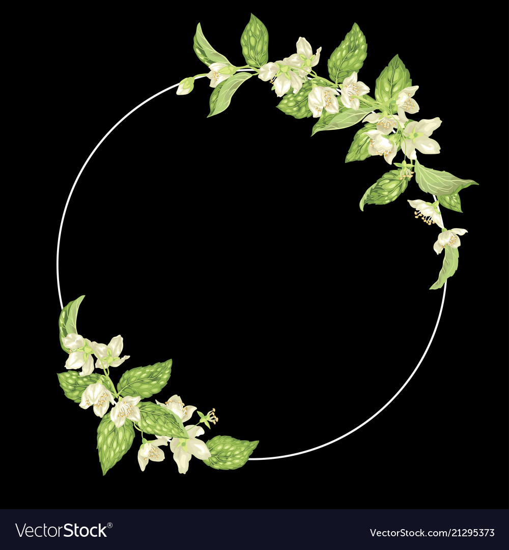 Decor element with jasmine in a shape of ring vector image Decor element with jasmine in a shape of ring
