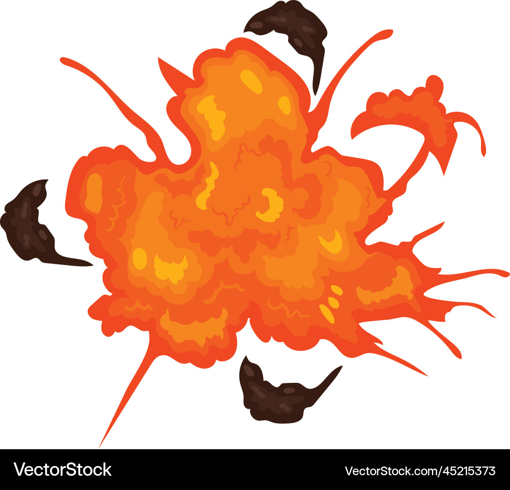Explosion danger icon Royalty Free Vector Image