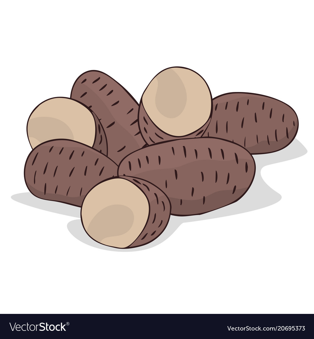 Isolate ripe russet potato tubers