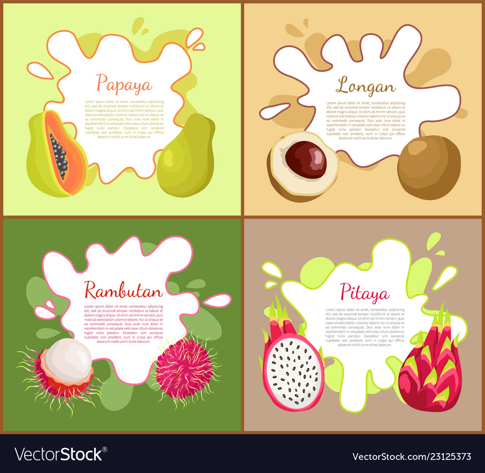 Papaya and longan posters set