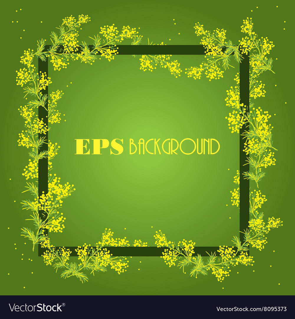 Spring background with frame from sprig of mimosa