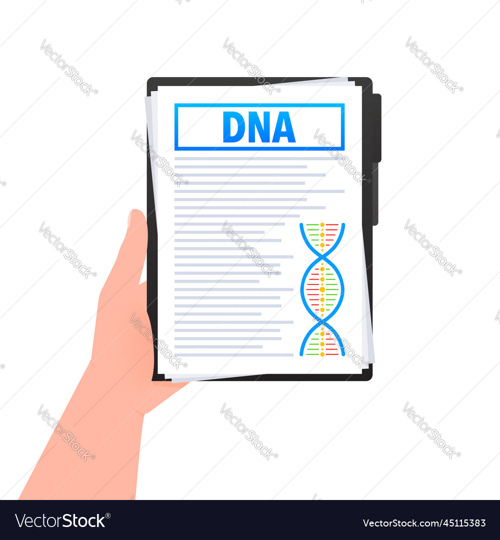 Dna structure document molecule