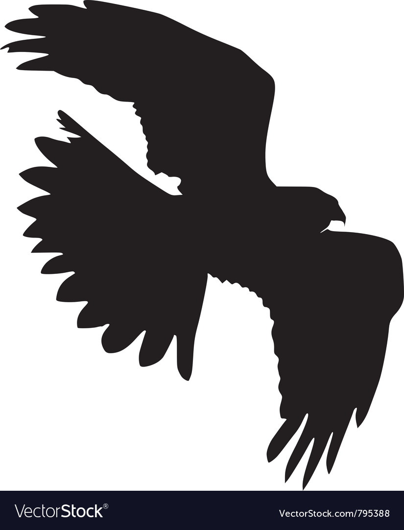 Black silhouette harrier Royalty Free Vector Image