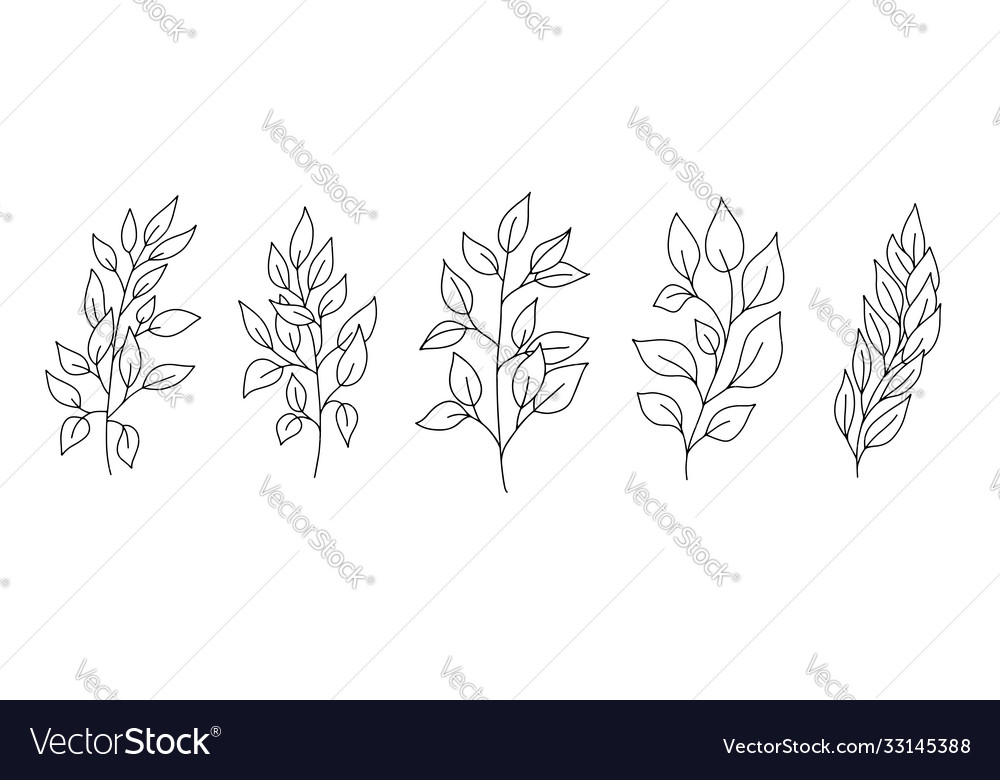 Set various hand drawn leaves