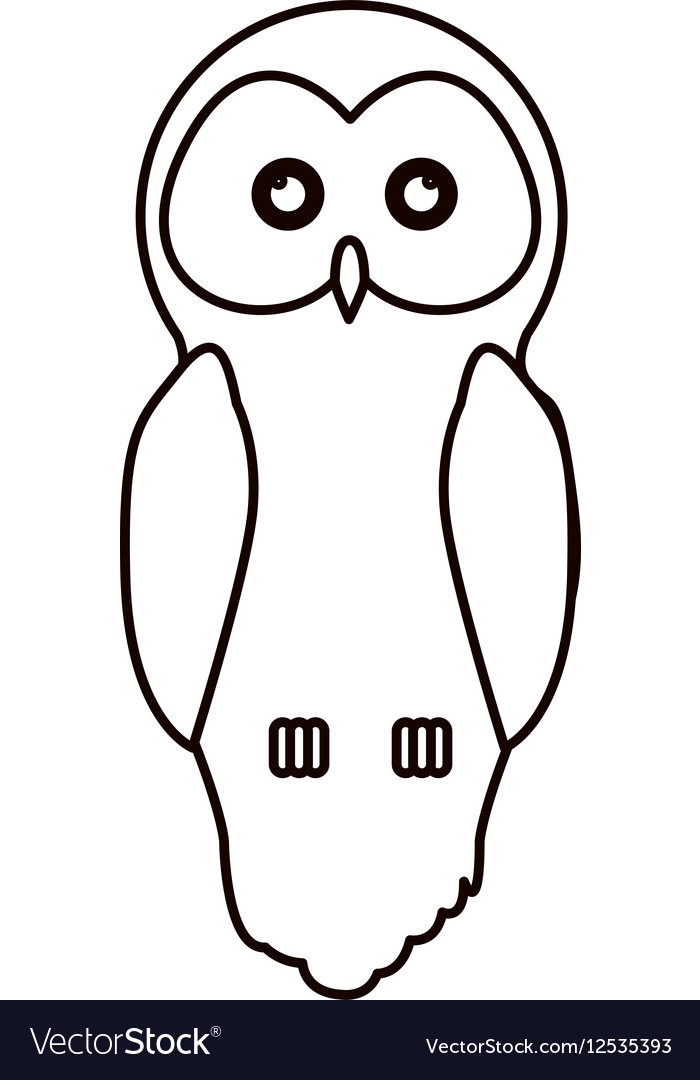 Isolated owl cartoon design