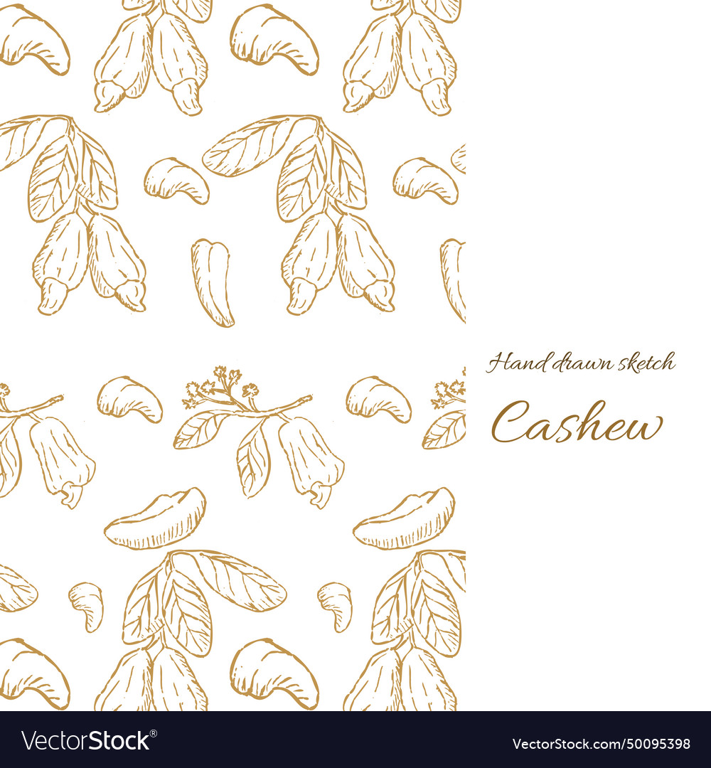 Cashew cover template for food background