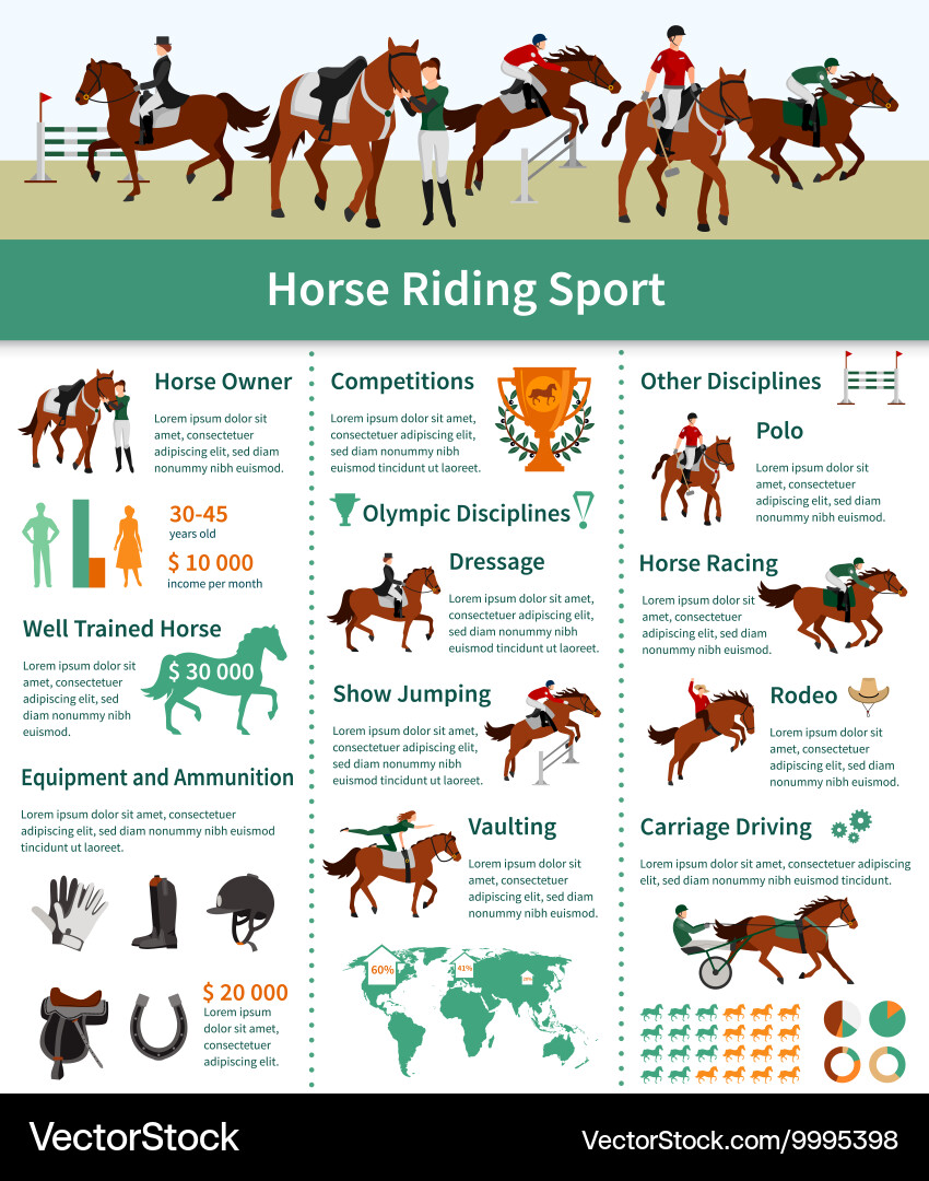 Horse rising infographics Royalty Free Vector Image