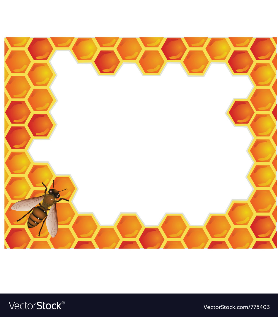 Bee and Honeycomb Pattern