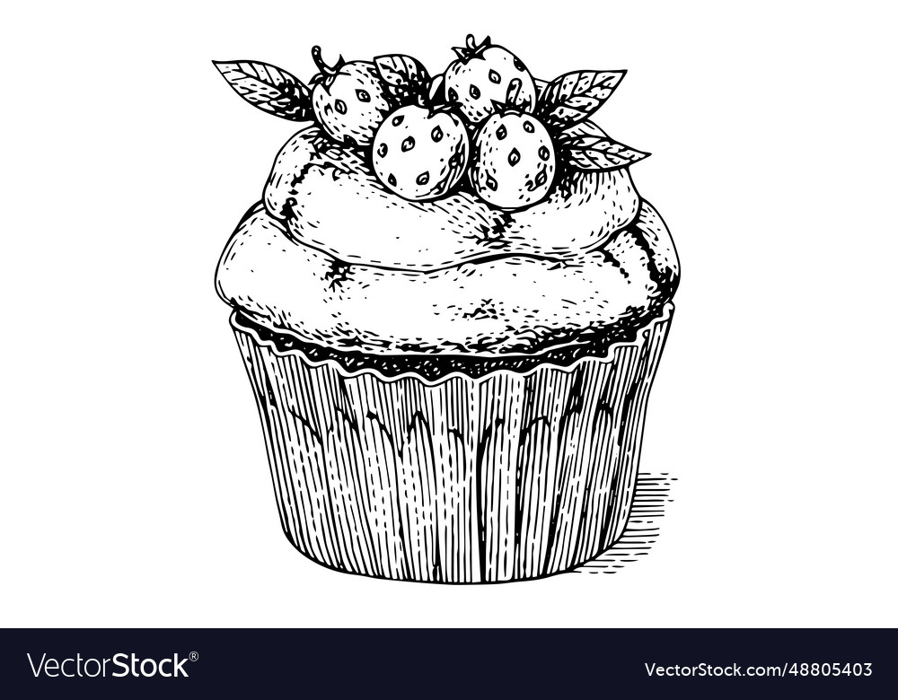 Cupcake with strawberry hand drawn ink sketch Vector Image