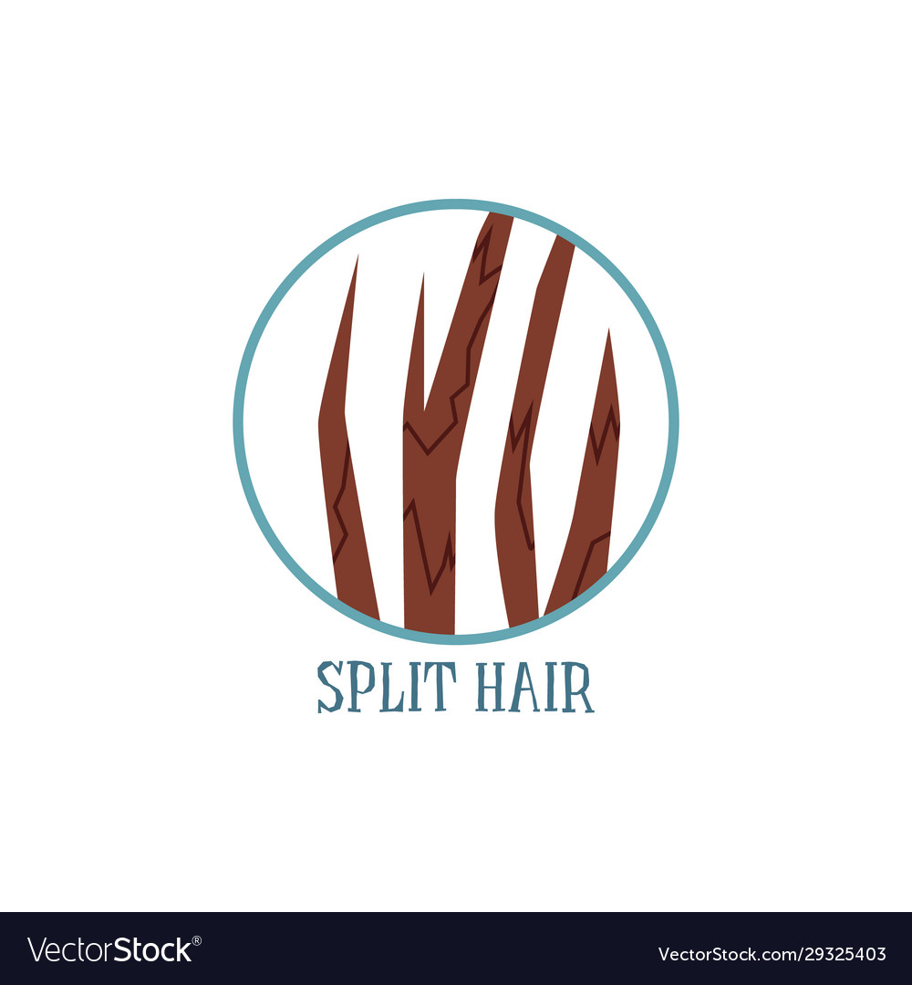 Split hair condition icon or symbol flat