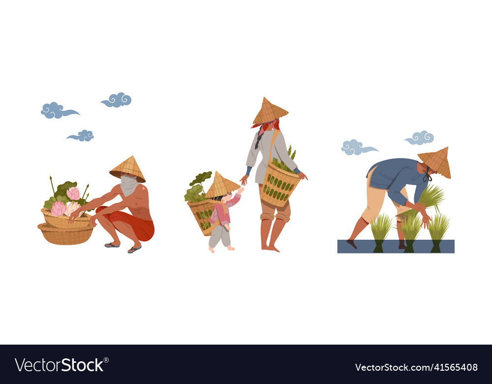 Asian farmer in straw conical hat gathering Vector Image