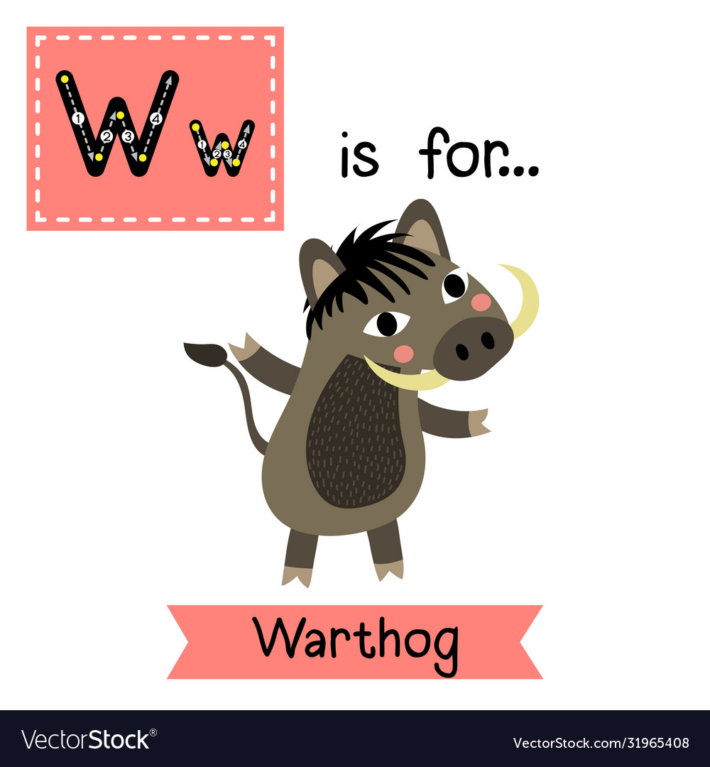 Letter w tracing warthog Royalty Free Vector Image