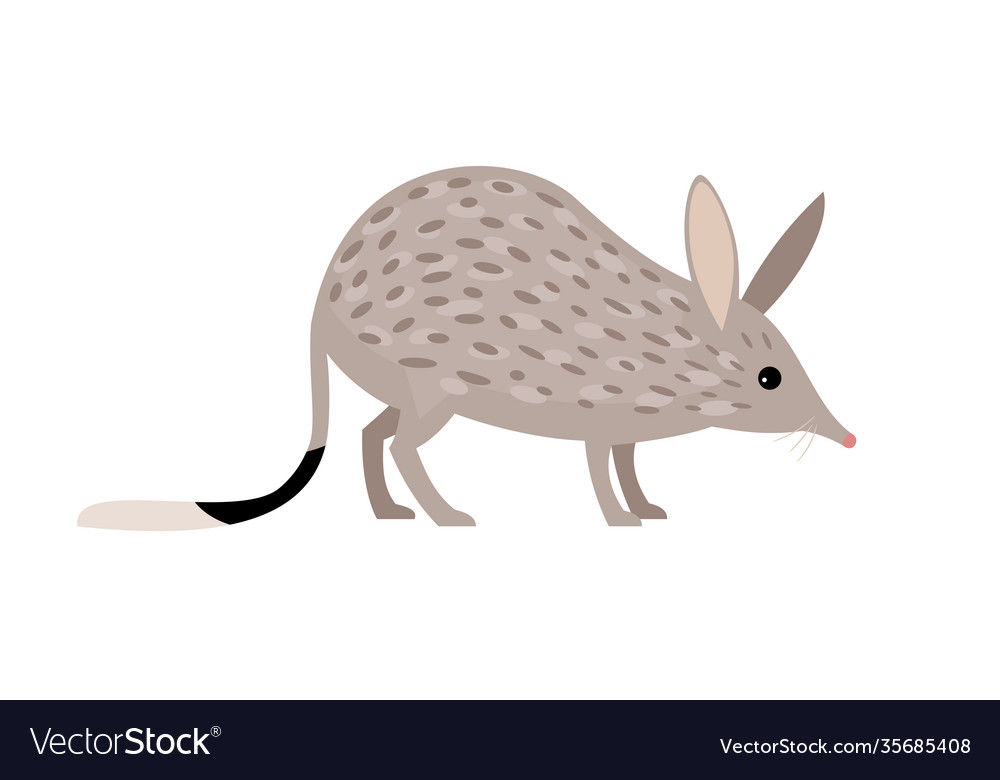 Rabbit bandicoots cartoon zoo character