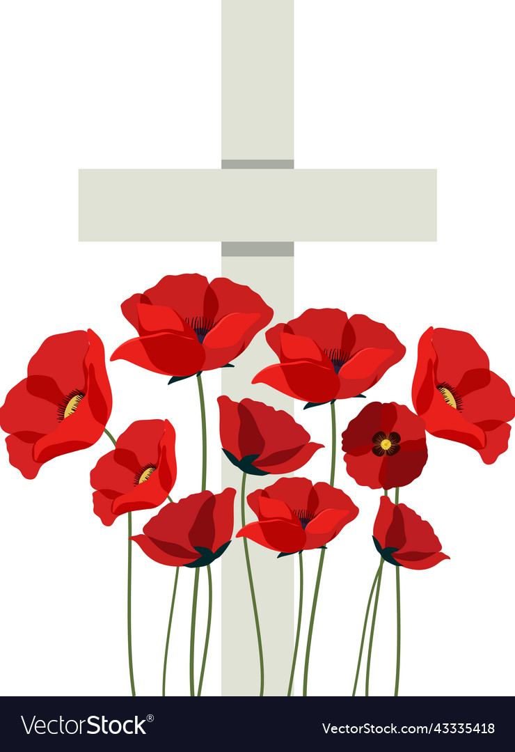 Poppy flowers on cross gravestone for remembrance Vector Image