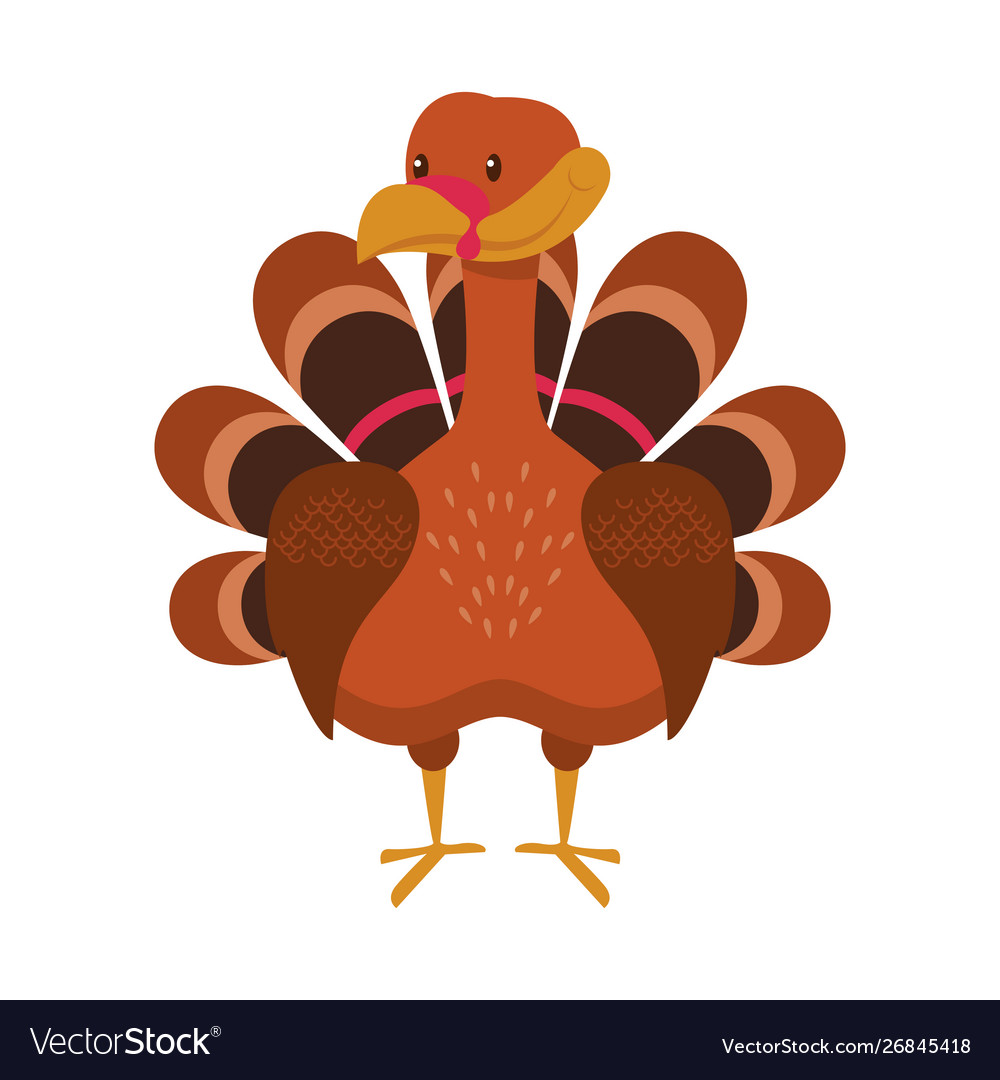 Turkey bird cute cartoon isolated Royalty Free Vector Image