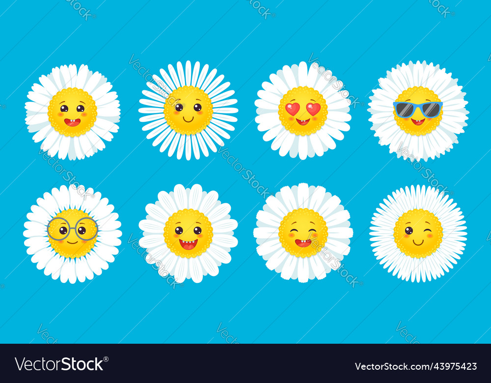 Camomile smile daisy flowers with cartoon face vector image Camomile smile daisy flowers with cartoon face